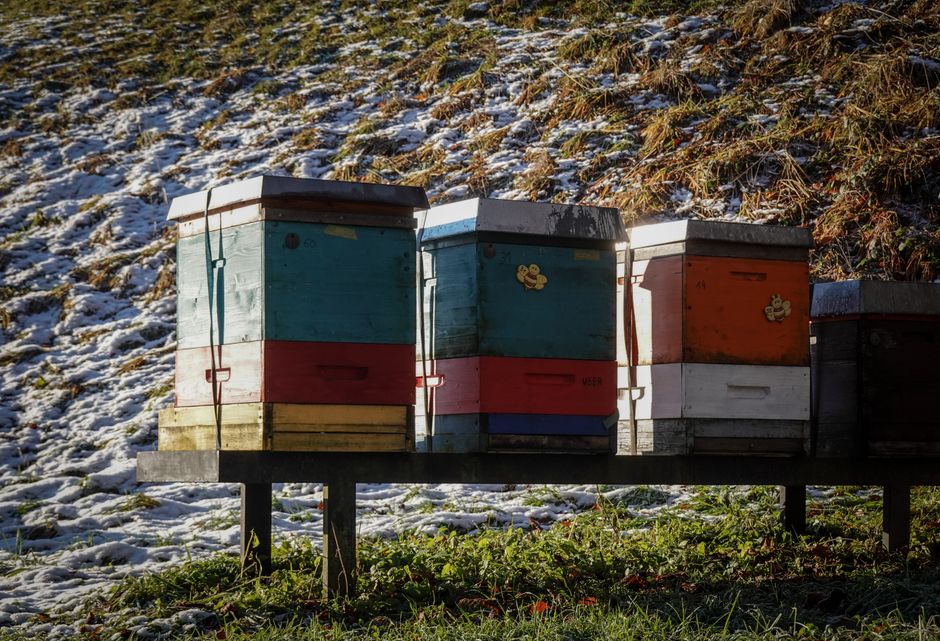 Bienenstöcke Bienenstöcke