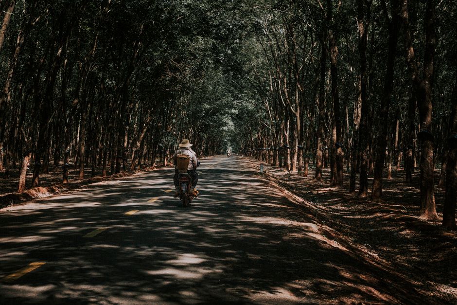 Ausflug nach Nettersheim
