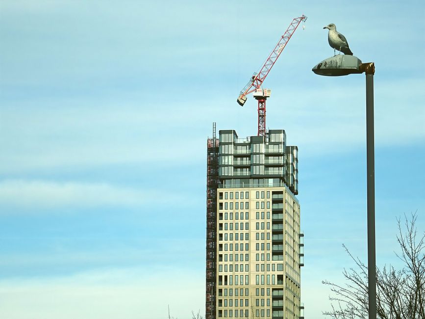 legovogel
